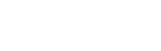 Logo Insécurité en France Blanc